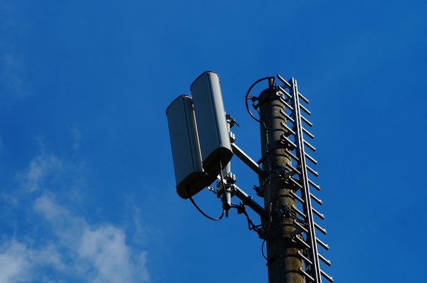 Quelle formation proposer aux enseignants pour intégrer les outils numériques en classe primaire?